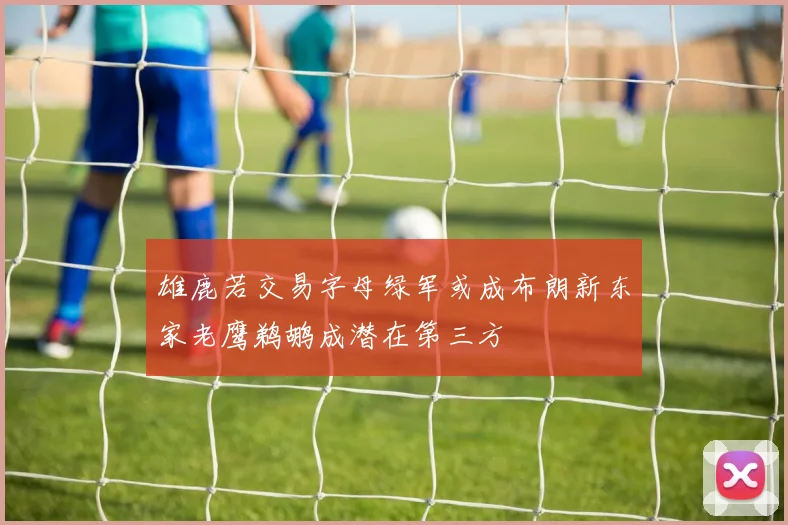 雄鹿若交易字母绿军或成布朗新东家老鹰鹈鹕成潜在第三方